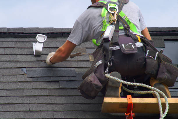 Best Roof Gutter Cleaning  in Mason City, IA