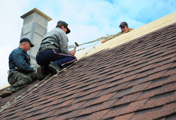 Best Roof Gutter Cleaning  in Mason City, IA